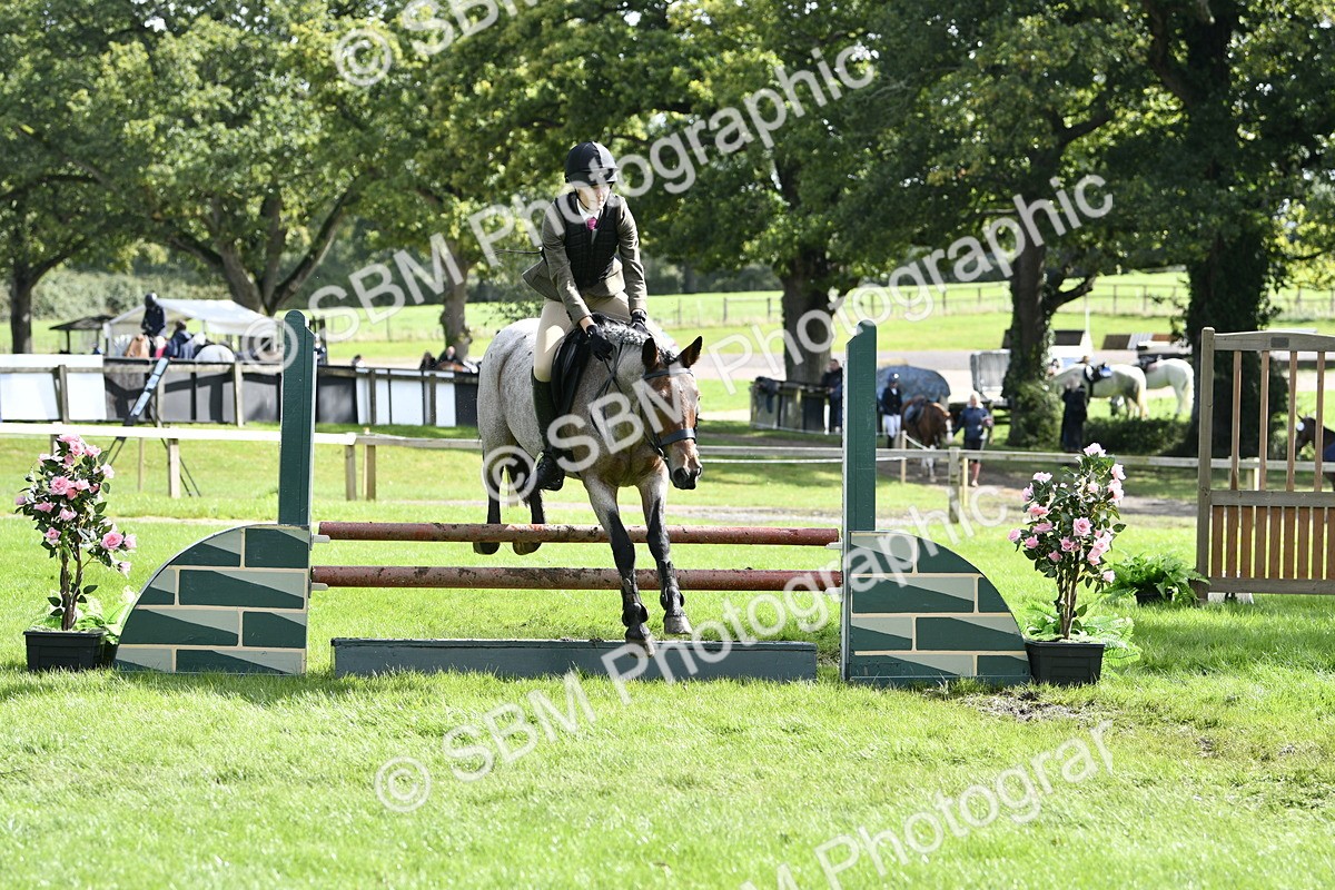 SBM_45675 - S33 - Working Hunter Pony
