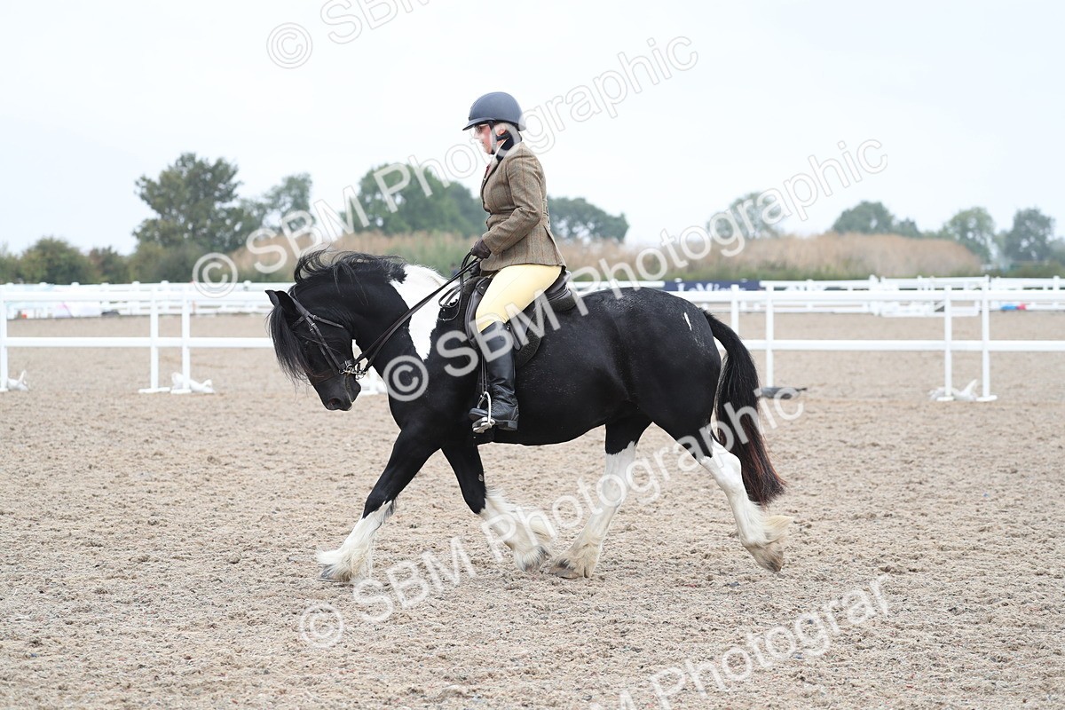 SBM_21978 - Class 603 - 2025 Area Ridden Pre Vet