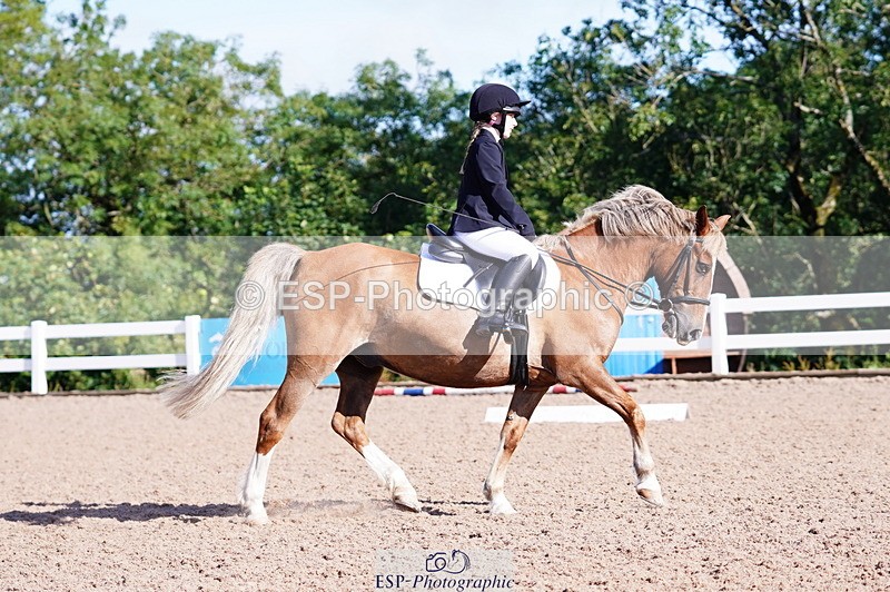 240809A-091232-00178 - Dressage Competition