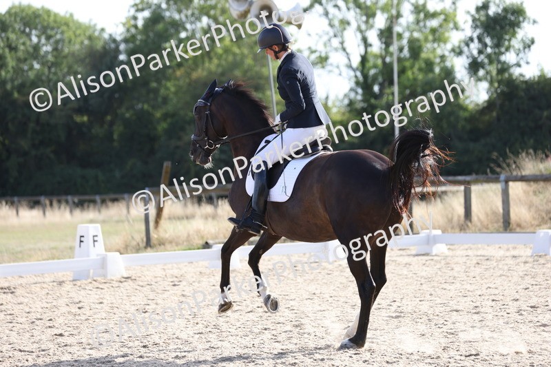 20250820-1725 - Class 22 - Advanced Medium 6