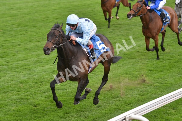 yr14052021r2-19 - Race 2 2.10pm Oak Farm Stables Fillies' Stakes (registered as the Michael Seely Memorial Stakes)