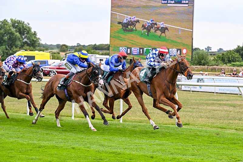 260826-Race 4-Niffler-3354 - Race 4 15:45 Hats Of Yorkshire Handicap
