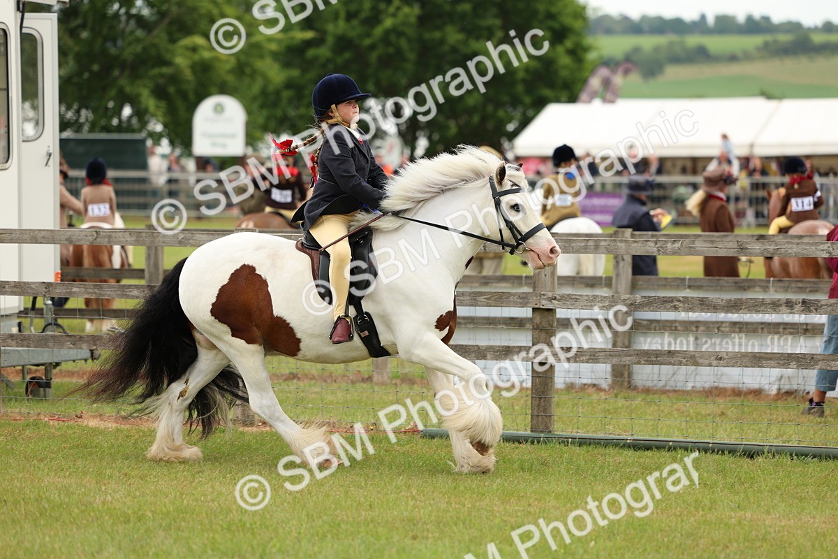 SBM_06257 - Class 39-41 TGCA In Hand and Ridden
