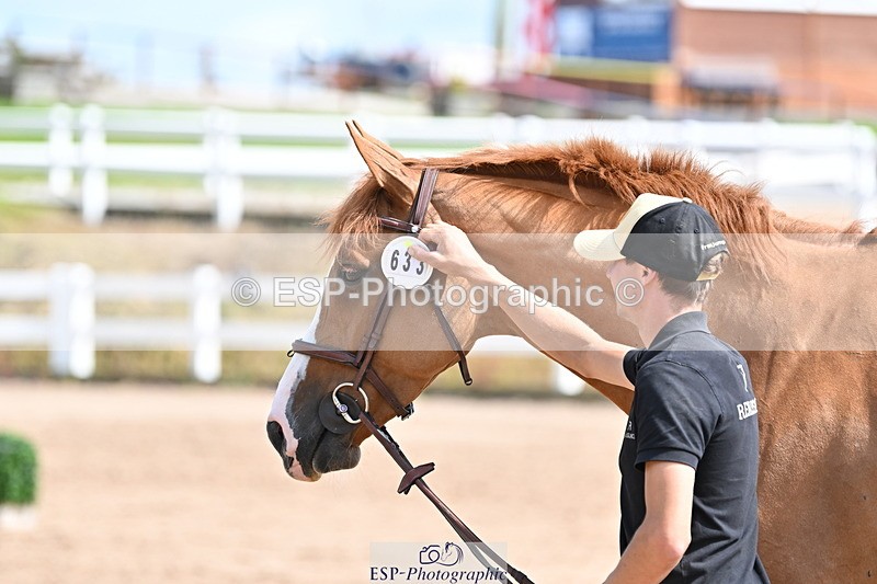 240717A-153400-02885 - Trot Up 3pm to 4pm