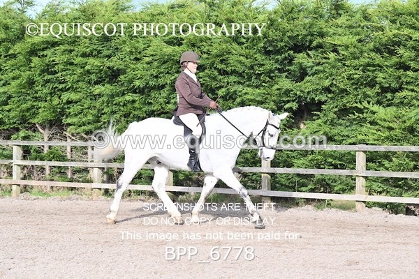 BPP_6778 - RING 1  (RIDDEN HORSES / IN HAND / VETERAN ETC)