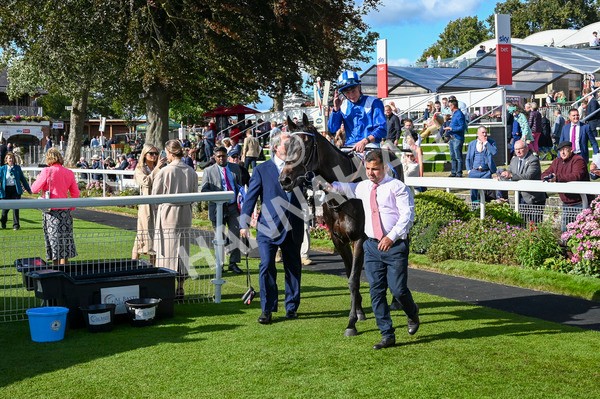 240824-Race 5-Elmonjed-1579 - Race 5 4.10pm Sky Bet Constantine Handicap