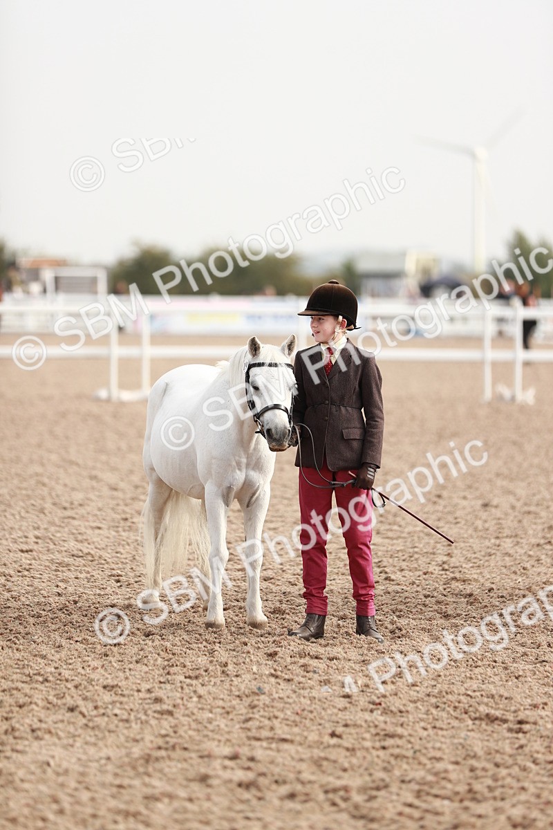 SBM_10535 - Class 204 Young Handler, 11-16 years
