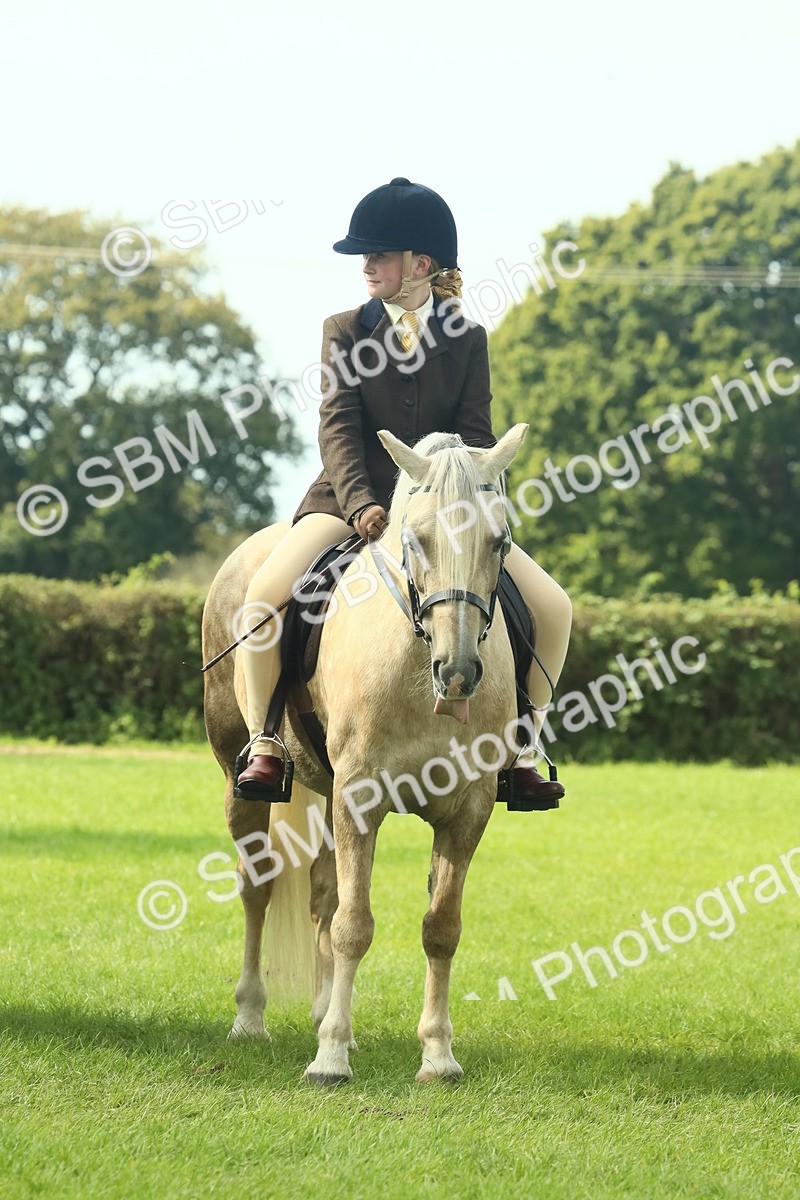 SBM_67569 - S56 - Coloured Pony Ridden
