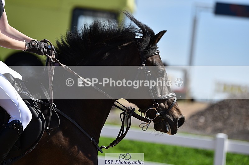 230903A-130202-04594 - Cls 19 Pony Discovery & 90cm Open