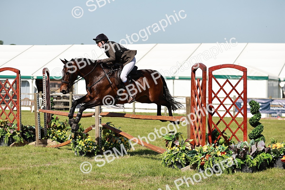 SBM_18425 - Class 112-113 - BSPS LIHS Working Sports Pony