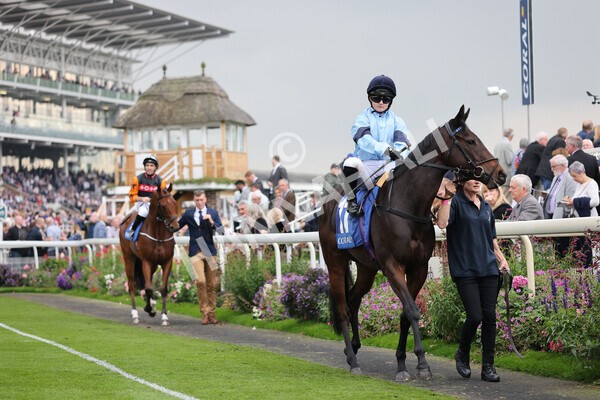 yr09102021r2-12 - Race 2 2.02pm Coral Beaten-By-A-Length Free Bet Rockingham Stakes