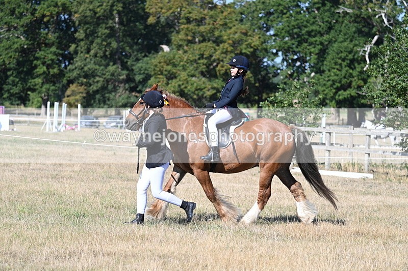WJ7_3306 - Class 8 Ridden Tack & Turnout