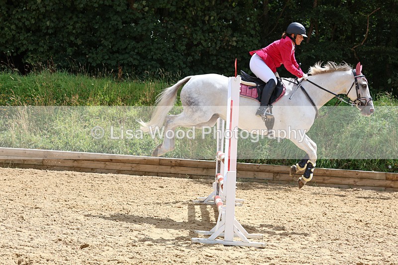 3E7A0500 - Class 9: Senior British Novice/90cm open