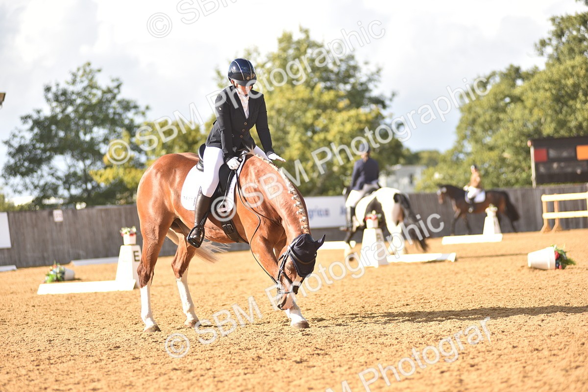 SBM_29586 - D16 -Small Tour Championship Novice 2