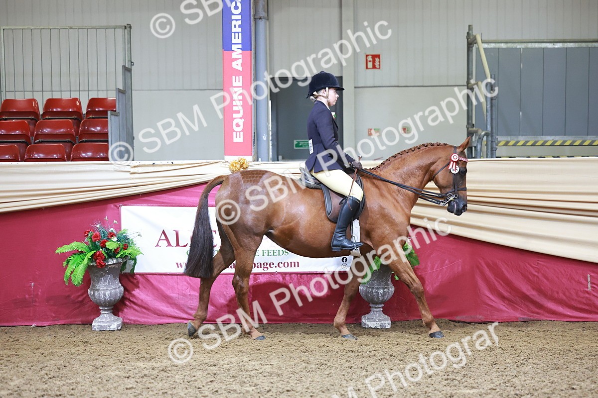 SBM_11782 - Class 102 - Equitation (Best Rider) Adult