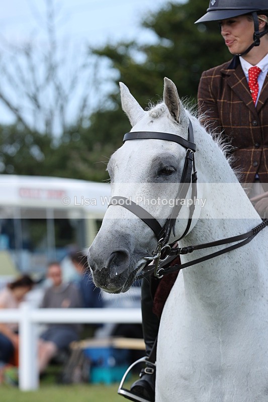 JPP_1253 - Class 17: Cornish Combination Open