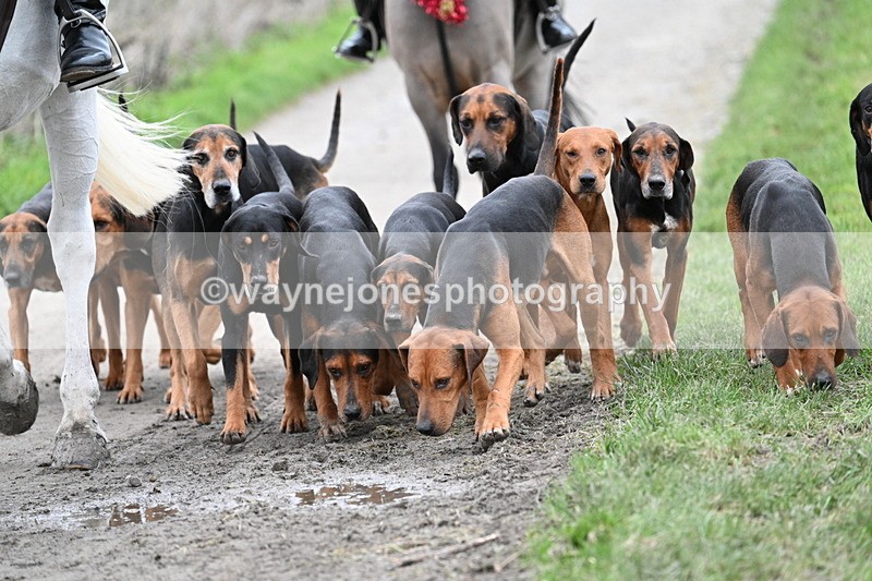 WJ7_1238 - Walk Home