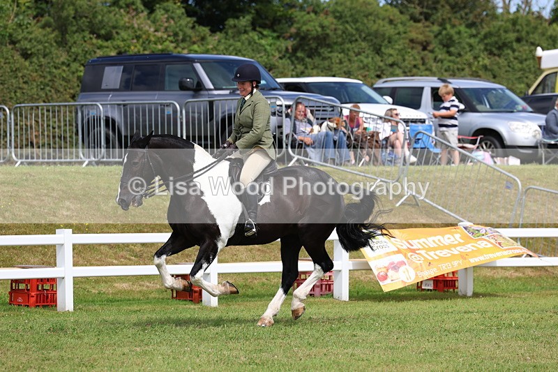 3E7A0196 - Class 6: Rising Star Maxi Cobs