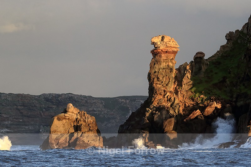 Cape Point from the sea, South Africa - South Africa