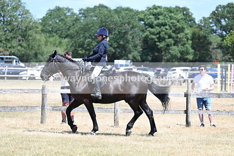WJ7_2791 - Class 7 Riding Club Show Horse