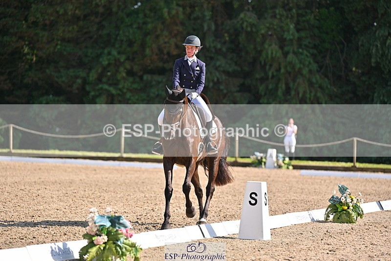 250523A-164045-08132 - B-379-Kelli.Frewin-HIDDEN.GOLD