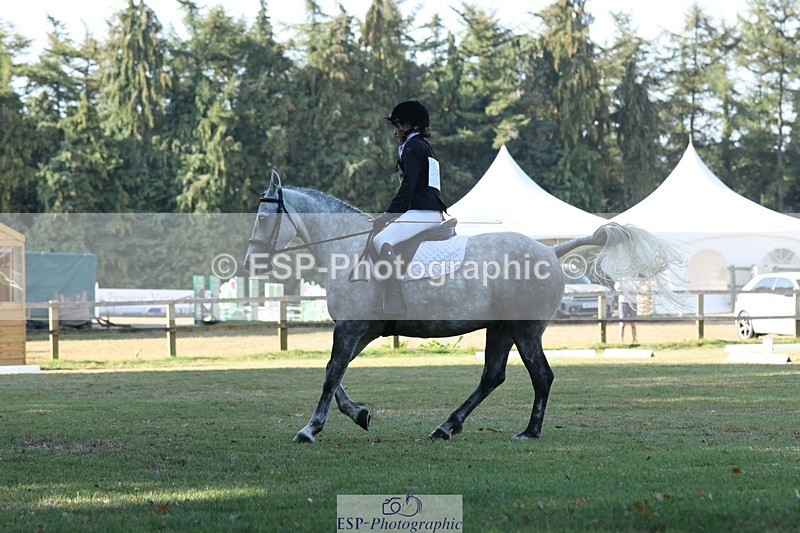 250823A-093634-26881 - Arena C