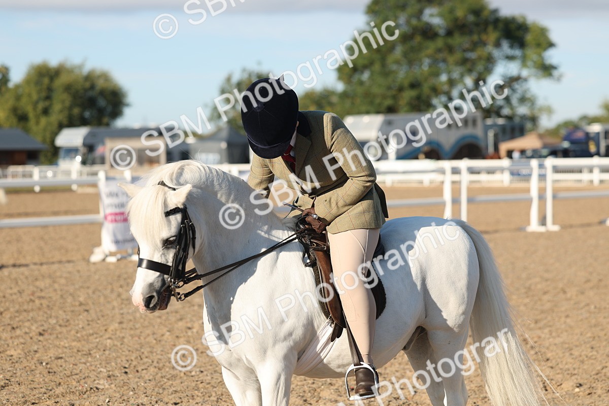 SBM_10923 - Class 301 - Ridden M&M Small Breeds