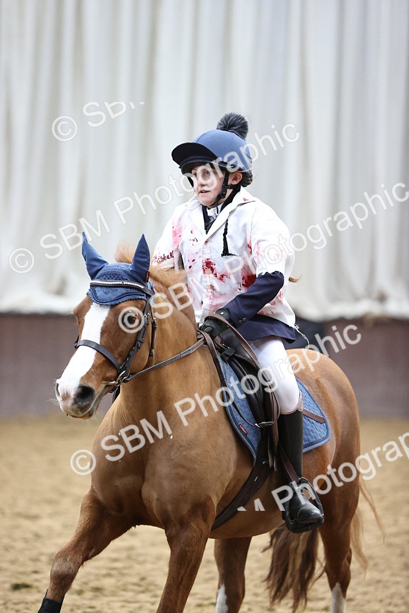 SBM_000640 - Class 2 - Show Jumping 50cm