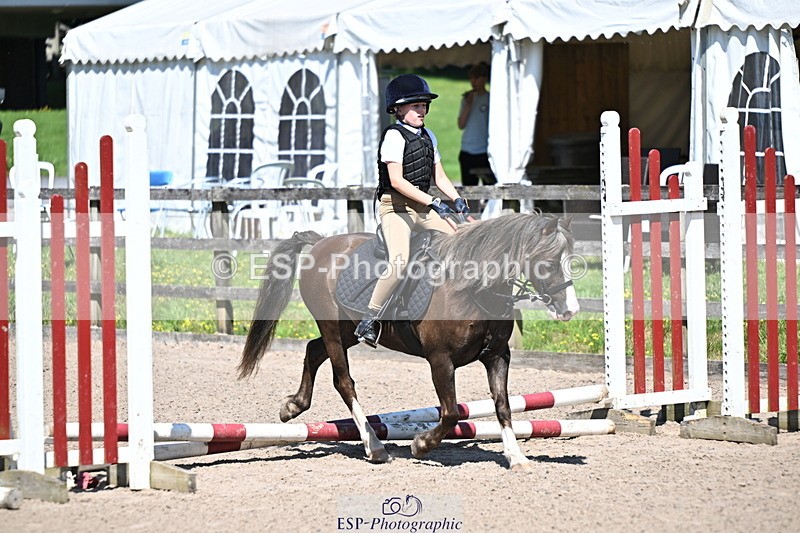240729B-113656-02454 - Showjumping Competition