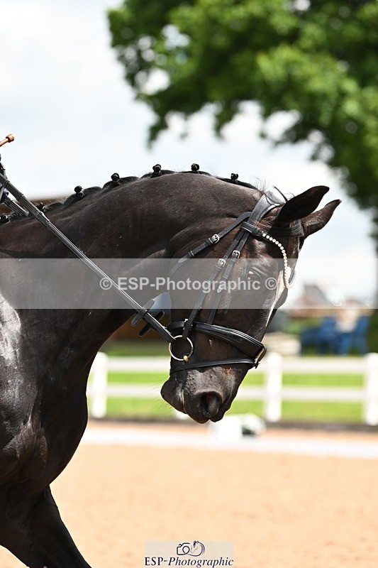 240621A-121953-02527 - Cls 5 BD Novice 37A