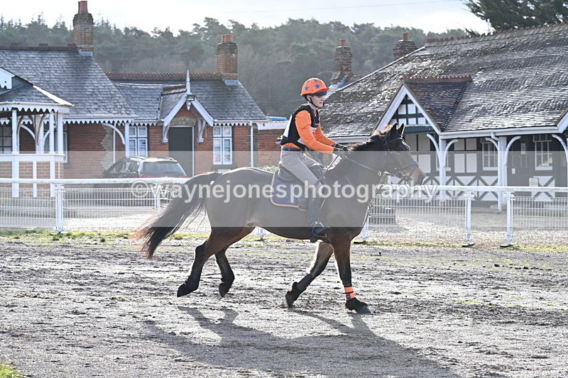 WJ7_9606 - Time 11:28 to 11:47