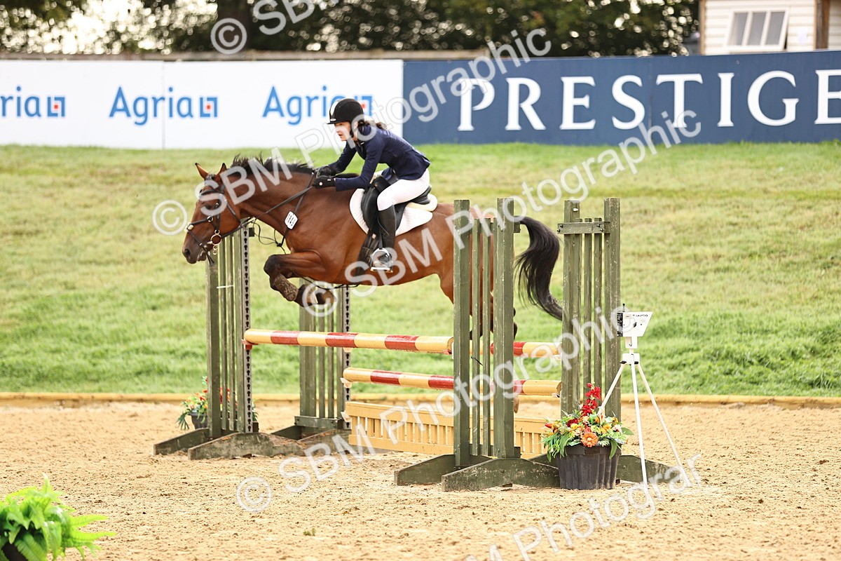 SBM_58194 - J41 - Grand Tour Horse & Pony 95cm