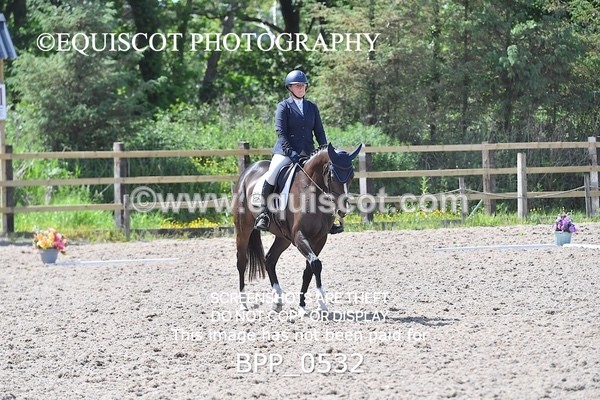 BPP_0532 - MFS NOVICE