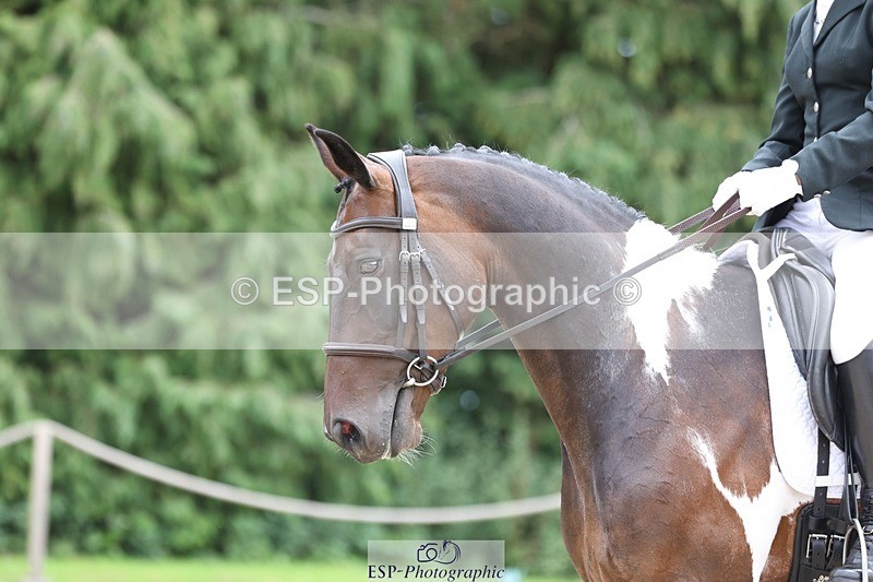 230813-152436-08072 - Cls 11 Elem Bronze 14.30 to End