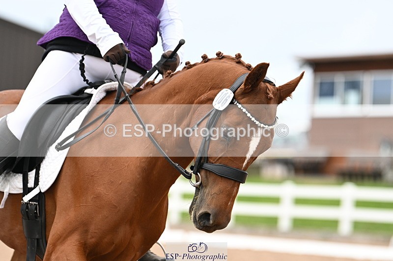 240621A-163206-06027 - Cls 7 Team Quest Prelim 18