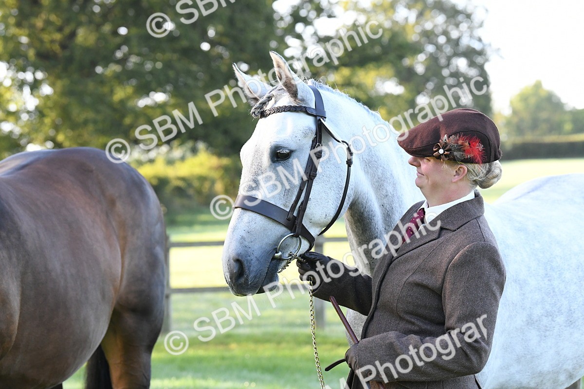 SBM_32627 - S15 - Condition & Turnout In Hand