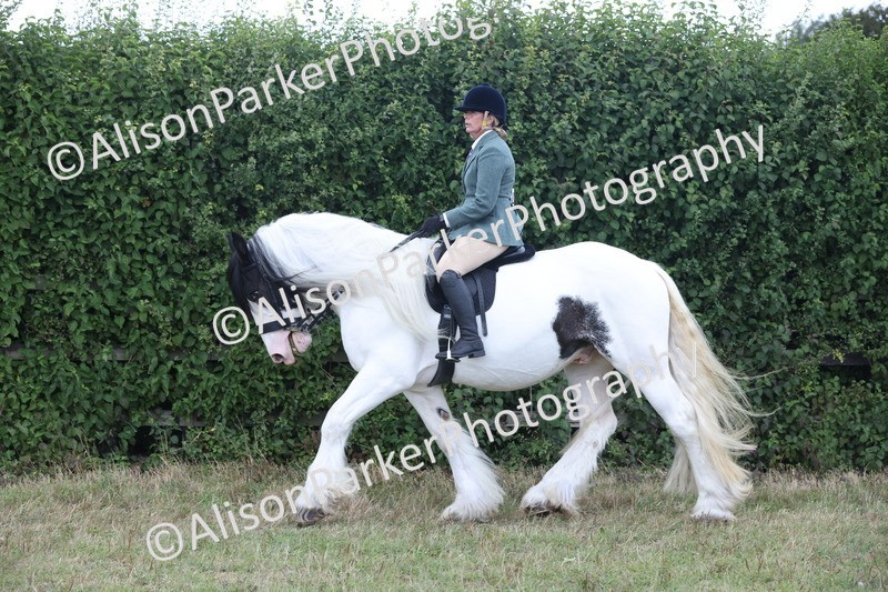 20250831-4265 - Class 20 - Ridden Coloured