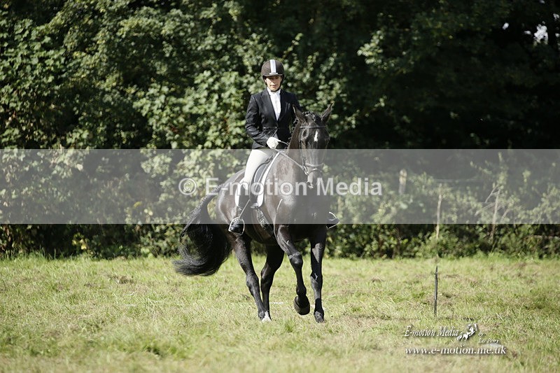 BVRC 120921 377 - Bourne Valley Riding Club UA Dressage & Show Jumping 12/09/21