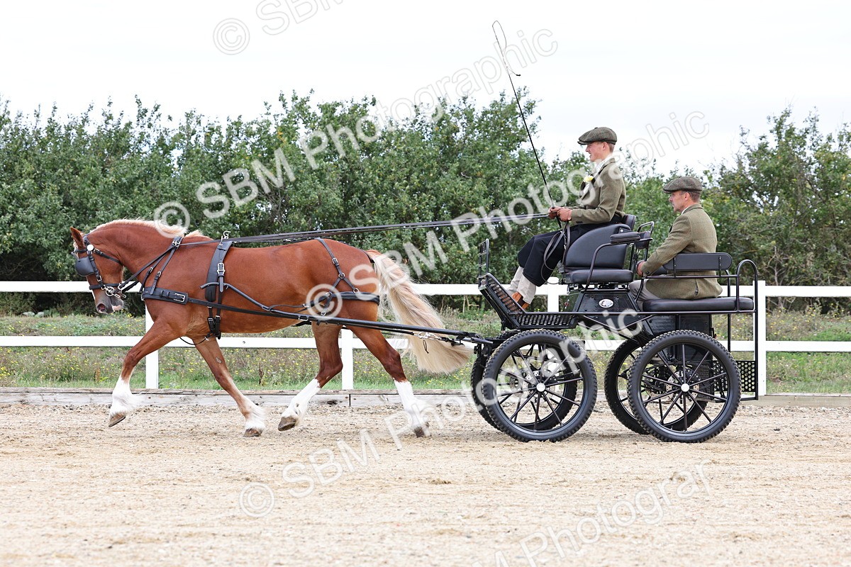 SBM_000439 - Class 4 - Junior Whip