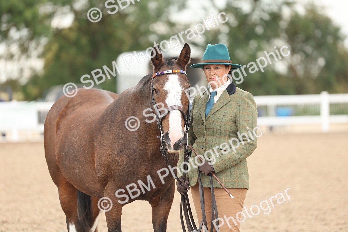 SBM_07638 - Class 26 - IH Foreign Breeds - Part Bred