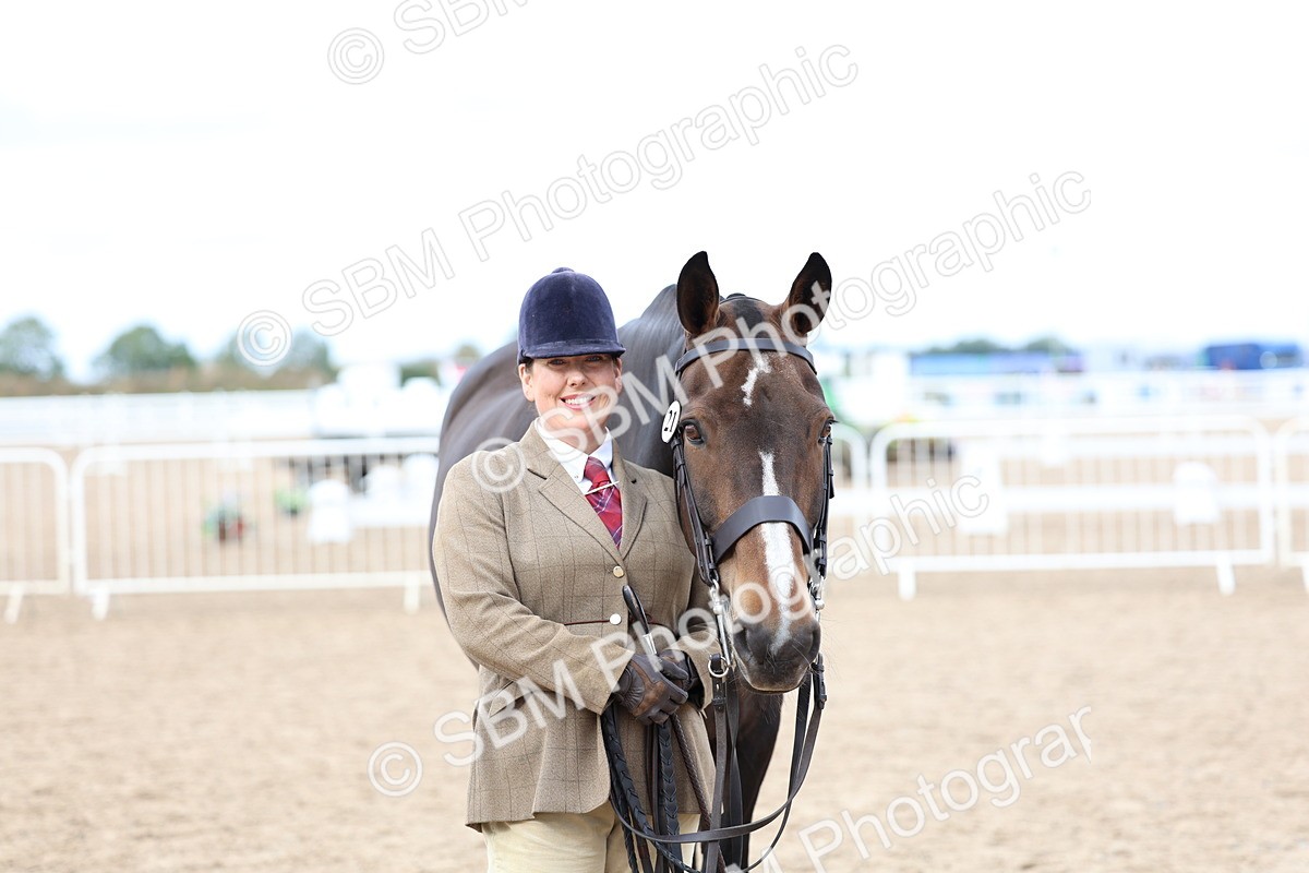 SBM_05757 - Class 28 - IH Veteran Horse
