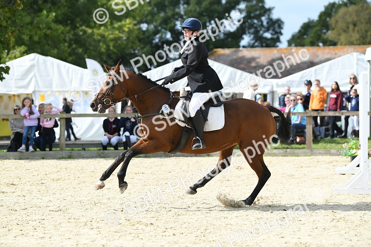 SBM_64655 - J48 - Pairs Jumping Open 70cm & 85cm