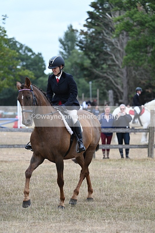 WJ7_0870 - Class 7 Riding Club Show Horse