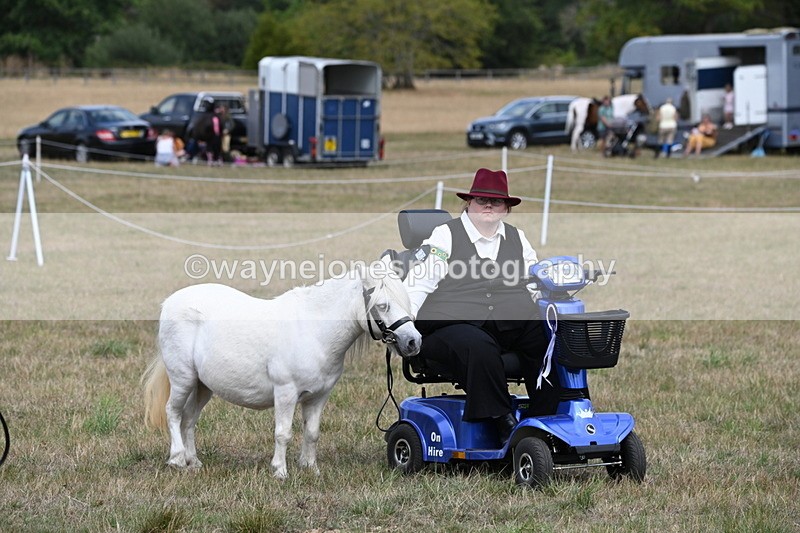 WJ6_6344 - Class 19 In-hand Veterans (Uploaded correct folder)