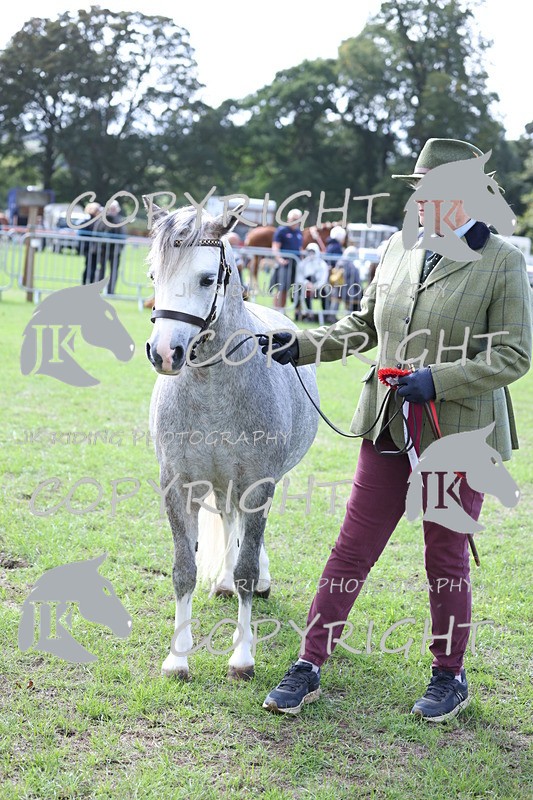 APP_2979 - Class 10a/b M&M in hand