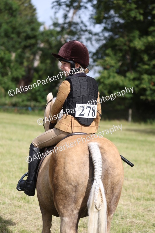 20260614-0445 - Class 20 - Beginners Working Hunter Pony