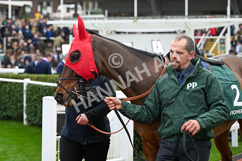 161124-Race 4-Paddock-Ga Law-0264 - Race 4