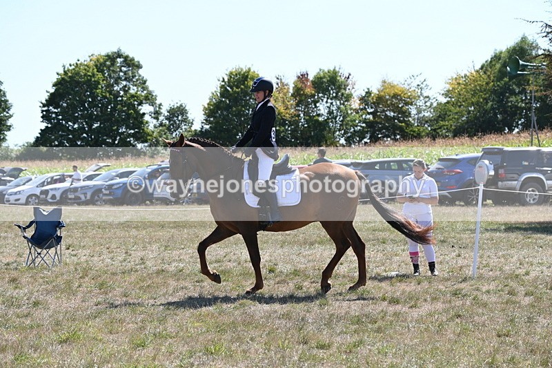 WJ6_8850 - Class 38 Ridden Riding Horse/Pony