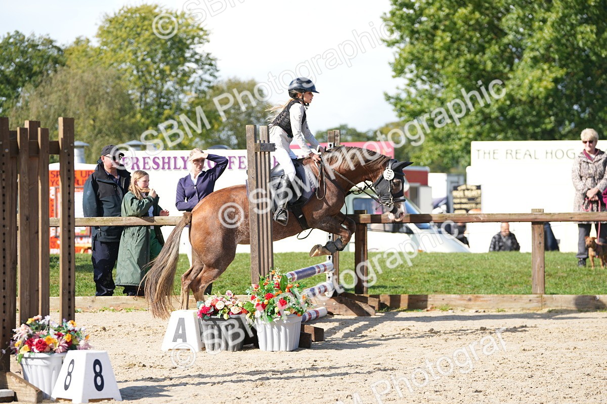 SBM_38284 - J6 - Junior Pony 55cm Championship