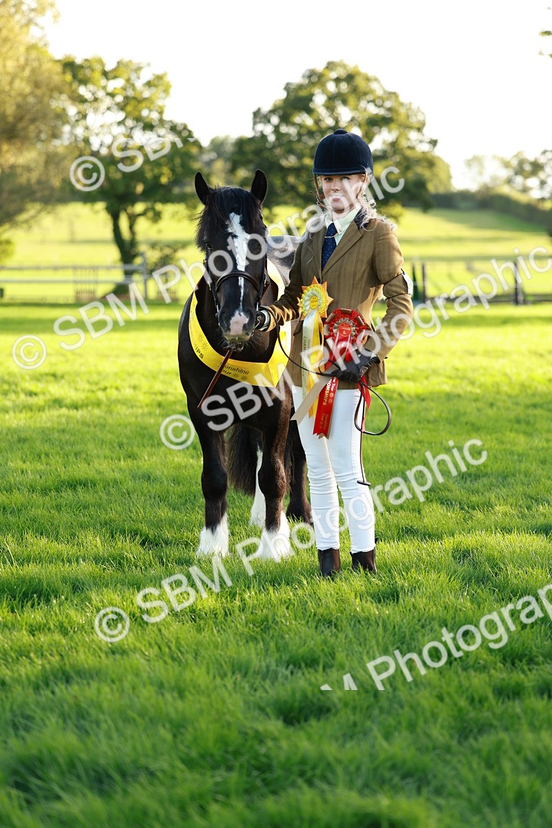 SBM_29339 - Novice & newcomer Supreme Championship